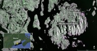 NASA-ISRO Satellite Sends First Radar Images of Earth’s Surface