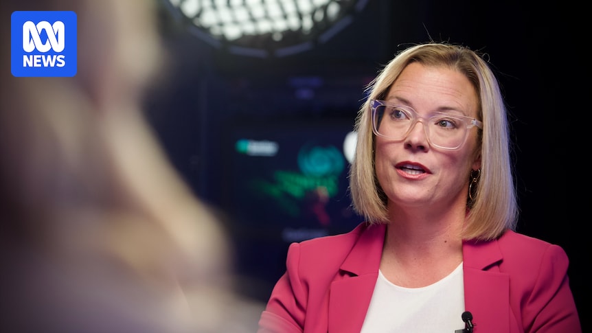 Minister flags compulsory voting in local government elections, 4