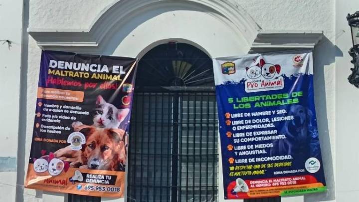 Escuinapa refuerza protección animal con charlas, comité y línea de denuncias