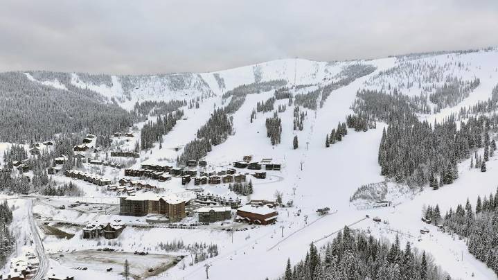 Schweitzer announces tentative opening date for 2025