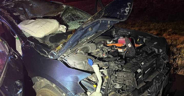 Moose hit by two cars in New Hampshire, seriously injuring a passenger