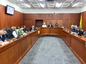 Futuro de Pericongo depende de tramite ambiental