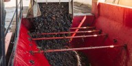 La cadena del vino suma eficiencia: traslados internos sin certificados en papel