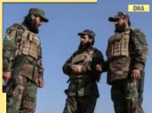 Pakistan-Afghanistan clash: Pakistanis strongly respond to Afghan Taliban's...