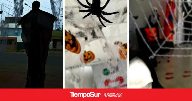 Este viernes 31 Dulces, disfraces y diversión: llega Halloween a Multimedio Tiempo