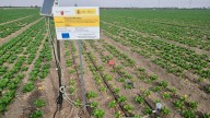 Una fertilización sostenible y precisa en los cultivos hortícolas