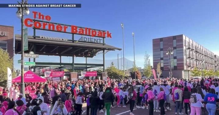 Making Strides Against Breast Cancer walk returns to Detroit for 28th year