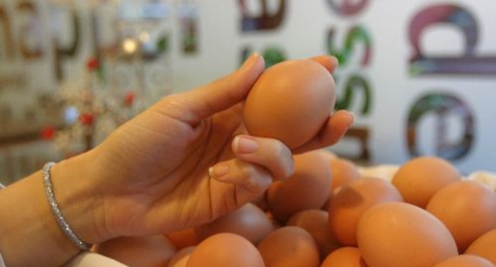 El 70% de los peruanos rechaza el encierro de las gallinas en jaula