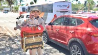 Organilleros de Toluca alegran Hermosillo con tradición
