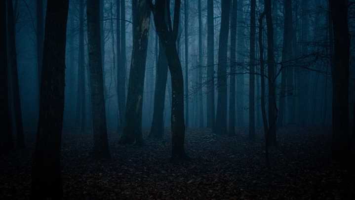 The Top 5 Scariest Halloween Urban Legends In U.S. States