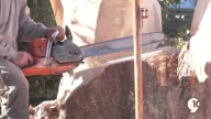 Traverse City artist breathes new life into dead tree with wood carving