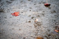 Atmospheric river to hit Portland on Halloween night