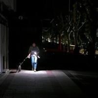 'First of its kind' power surge behind Iberia blackout: experts