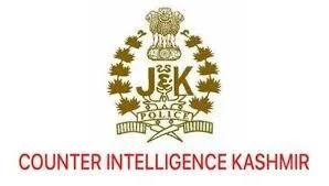 CIK foils online radicalisation plot