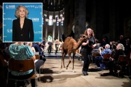 Jane Fonda pops up at NYC's annual animal blessing event -- then chows down on some Harlem fried chicken