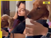 VIRAL! Rashmika flaunts huge diamond ring in new photo, fans say 'Vijay ne..'