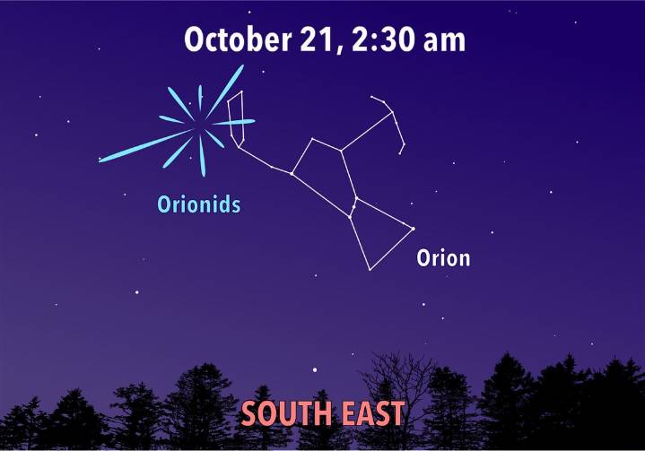 Stargazing: Orionid meteor shower to bring brilliant display in moonless sky
