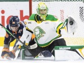 Live Q+A: Let's talk about the London Knights and their season so far