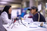 EsSalud refuerza acciones frente al dengue e insta a la ciudadanía a prevenir nuevos contagios