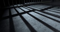 Illegal alien from Jordan dies after cardiac arrest in ICE custody