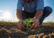 Entre el agua y la esperanza: así avanza la campaña agrícola que marca el regreso del optimismo al campo argentino