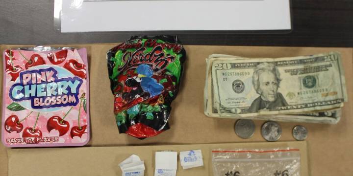 Police make arrest at Holyoke park