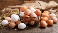 Los argentinos siguen comiendo más de un huevo por día en promedio: factores clave de una tendencia de consumo
