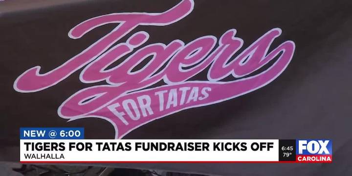 Tigers for Tatas fundraiser kicks off