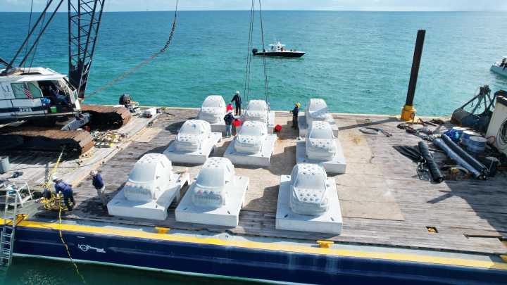Underwater traffic jam to be turned into coral reef at Miami Beach