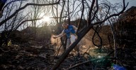 'Mulching': Así protegen los terrenos devastados por los incendios de agosto en Orense