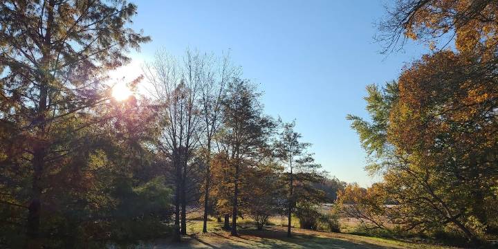 First Alert: Breezy & cooler
