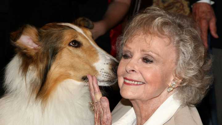 June Lockhart: su Trayectoria en un Recorrido de 13 Imágenes (de 1944 a 2014)
