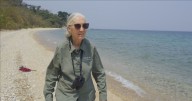 Fallece a los 91 Jane Goodall, experta que llevó los chimpancés al cine