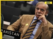 At Gaza summit, Pak PM Sharif hails Trump for 'stopping war' with India