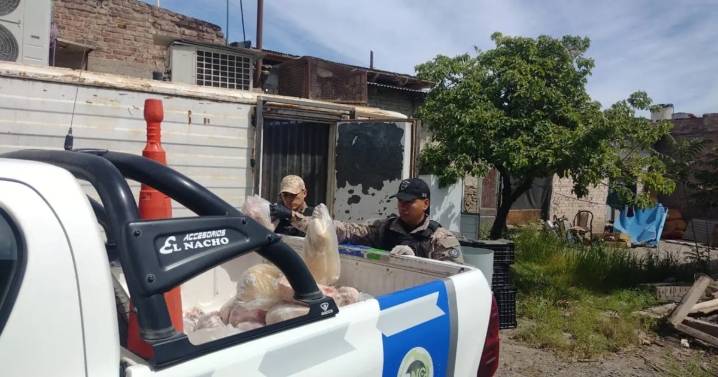 Decomisaron más de 700 kilos de carne en mal estado en Cinco Saltos tras controles a carnicerías