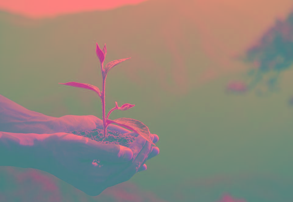 2025 en retrospectiva: los hechos que marcaron el año en cultura, política y tecnología