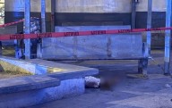 Muere en las jardineras del Hospital General