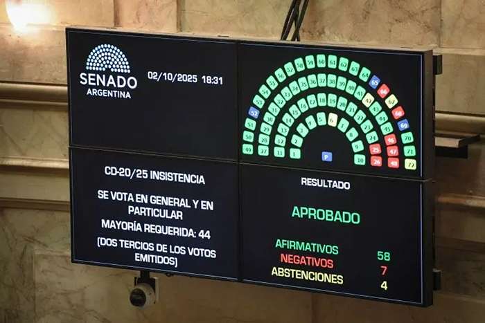 Cayeron en el Senado los vetos a la Ley del Garrahan y el Financiamiento Universitario