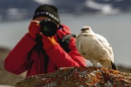 The remarkable rise of eBird – the world’s biggest citizen science project