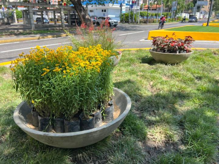 Avanza el plan de mejoramiento vial en la avenida Las Delicias