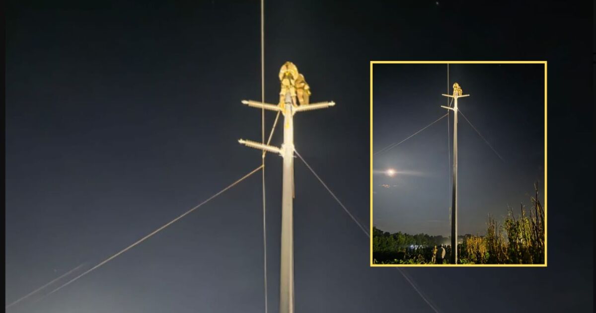 Continúan sin luz 6 estados por lluvias y vientos: CFE trabaja en el restablecimiento del servicio eléctrico