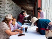 Cuatro programas del Bienestar para agricultores, ¿Cuáles son?