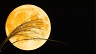 When Will the Harvest Supermoon Rise Tonight?