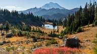 Mount Rainier National Park Implements New Ban Nobody Was Expecting