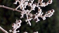 When will Gaston County get its first frost in 2025