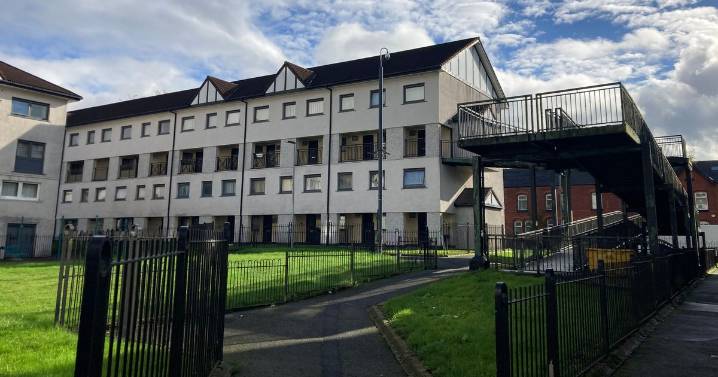 On the Freehold Estate they refuse to be defined by tragedy