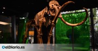Un esqueleto de mamut de hace 50.000 años llega a Barcelona para quedarse
