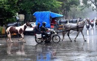 Kerala Weather Alert: Heavy Rain Expected Today In Five Districts, Yellow Alert Issued