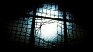 Six inmates break out of Tripura jail in early morning escape