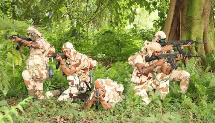 Securing Dignity Of Nation In Merciless Terrains, Unforgiving Climates: Amit Shah, J&K L